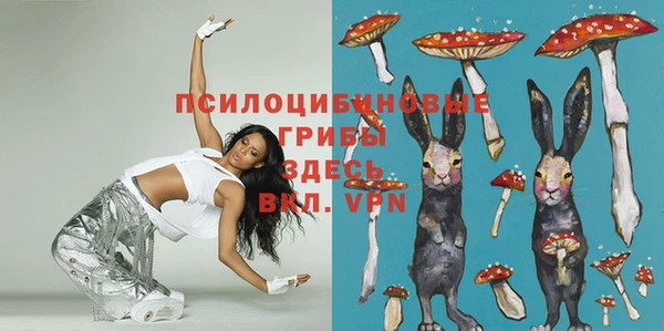 бошки Белокуриха