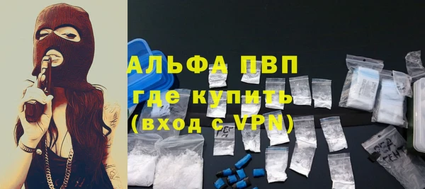 бошки Белокуриха